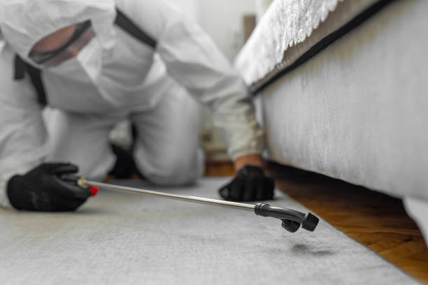 Professional Bed Bug Control technician working in Chatham, VA